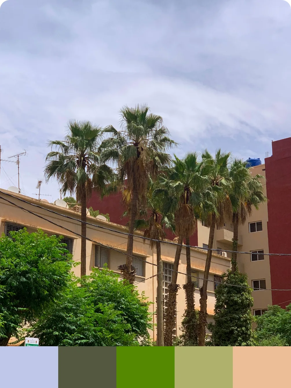 Nuancier — Oujda, Maroc
